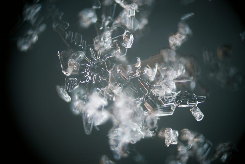 December Blogpost cover-photo