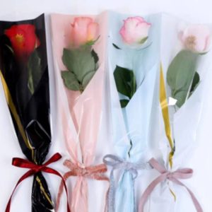 Single Rose Cover Photo