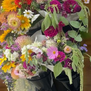 Fall Seasonal Blooms Cover Photo