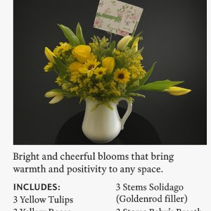 Sunshine in a Jar Cover Photo