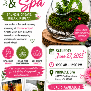 Sip Succulents & Spa Cover Photo